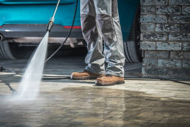 Pre-Holiday Cleaning in Port Washington North, NY