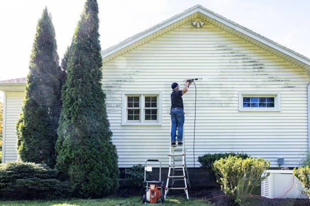 Best Dumpster Area Cleaning  in Port Washington North, NY